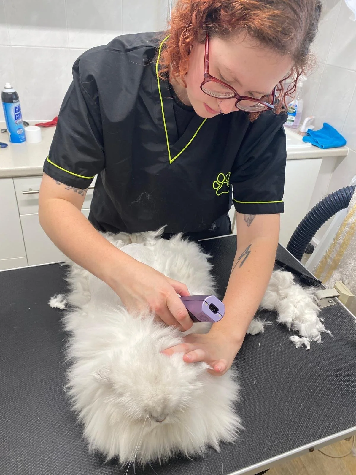 A person with red curly hair, glasses, and tattoos is grooming a fluffy white rabbit on a grooming table, using a grooming tool in a veterinary or grooming clinic.