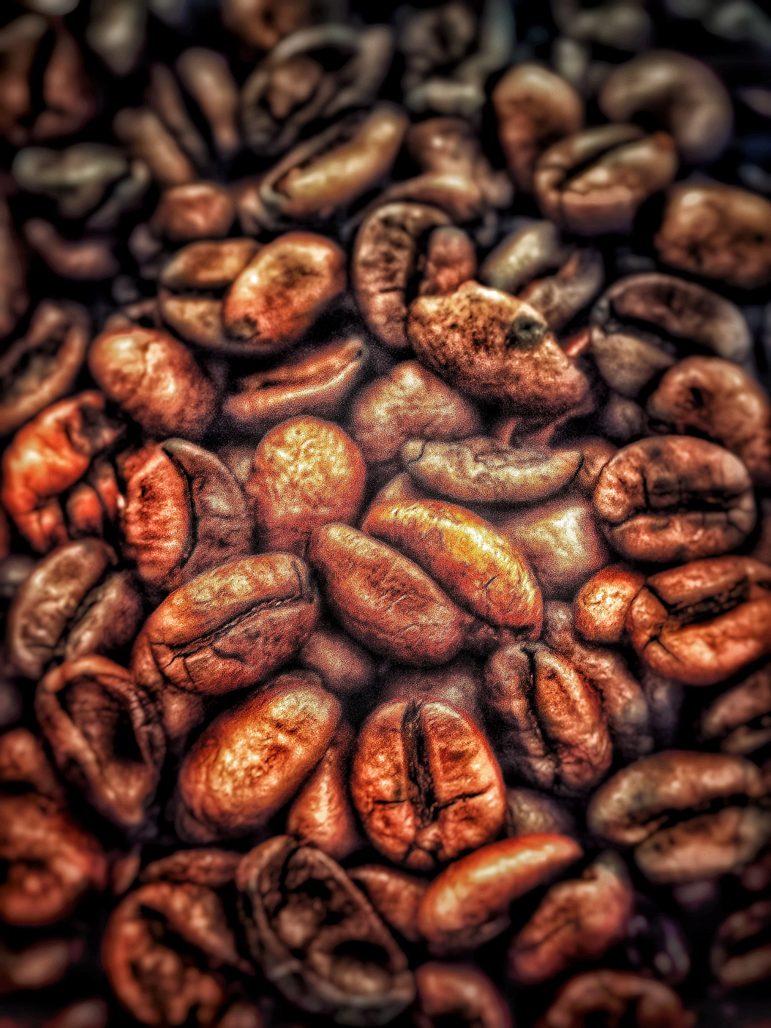 Nahaufnahme von gerösteten Kaffeebohnen