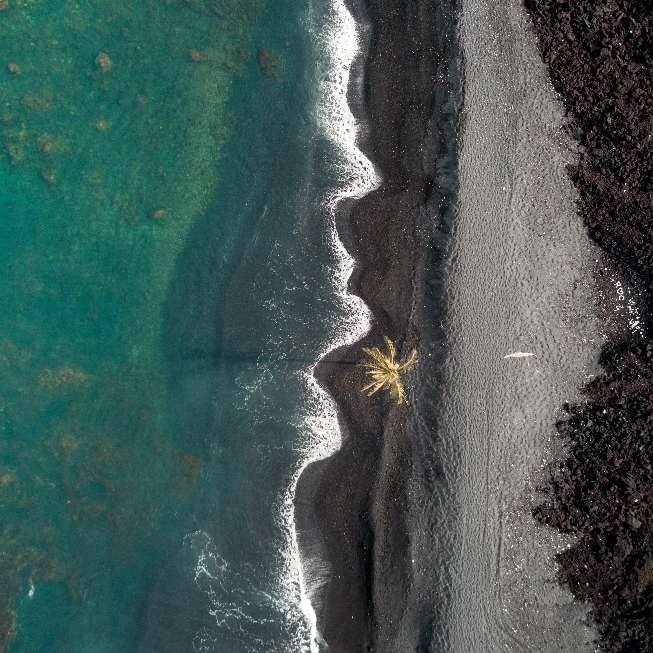 was ich bisher geschrieben habe