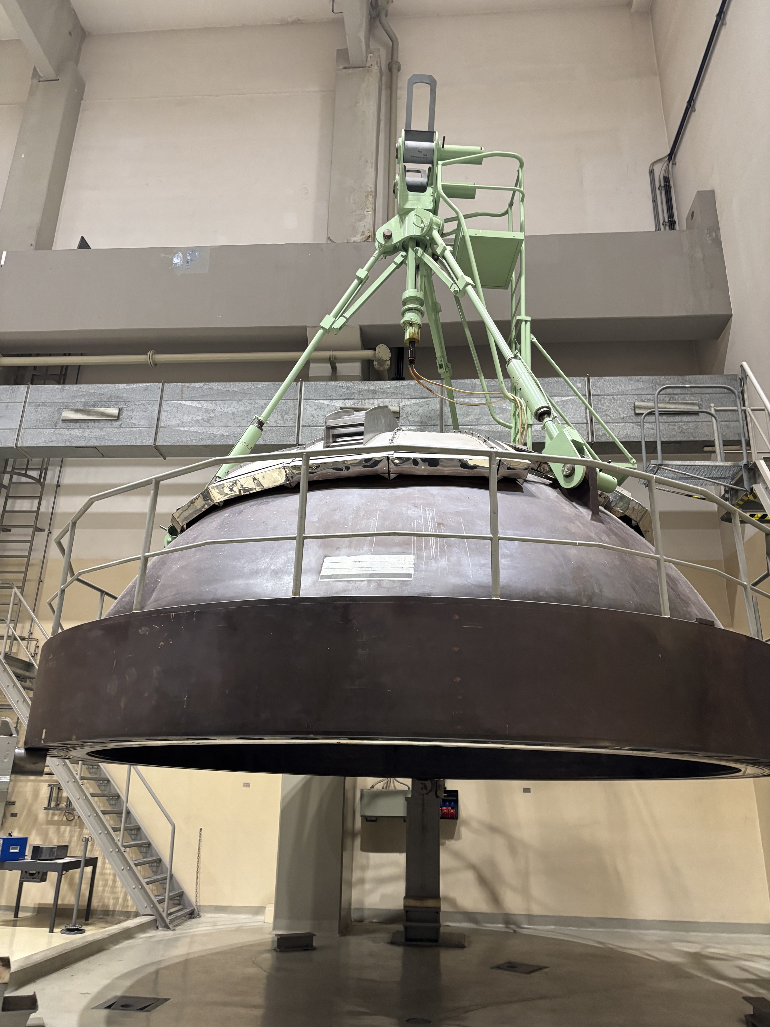 Wildfleisch &amp; Radioaktivität: Zeit für einen Fakten-Check