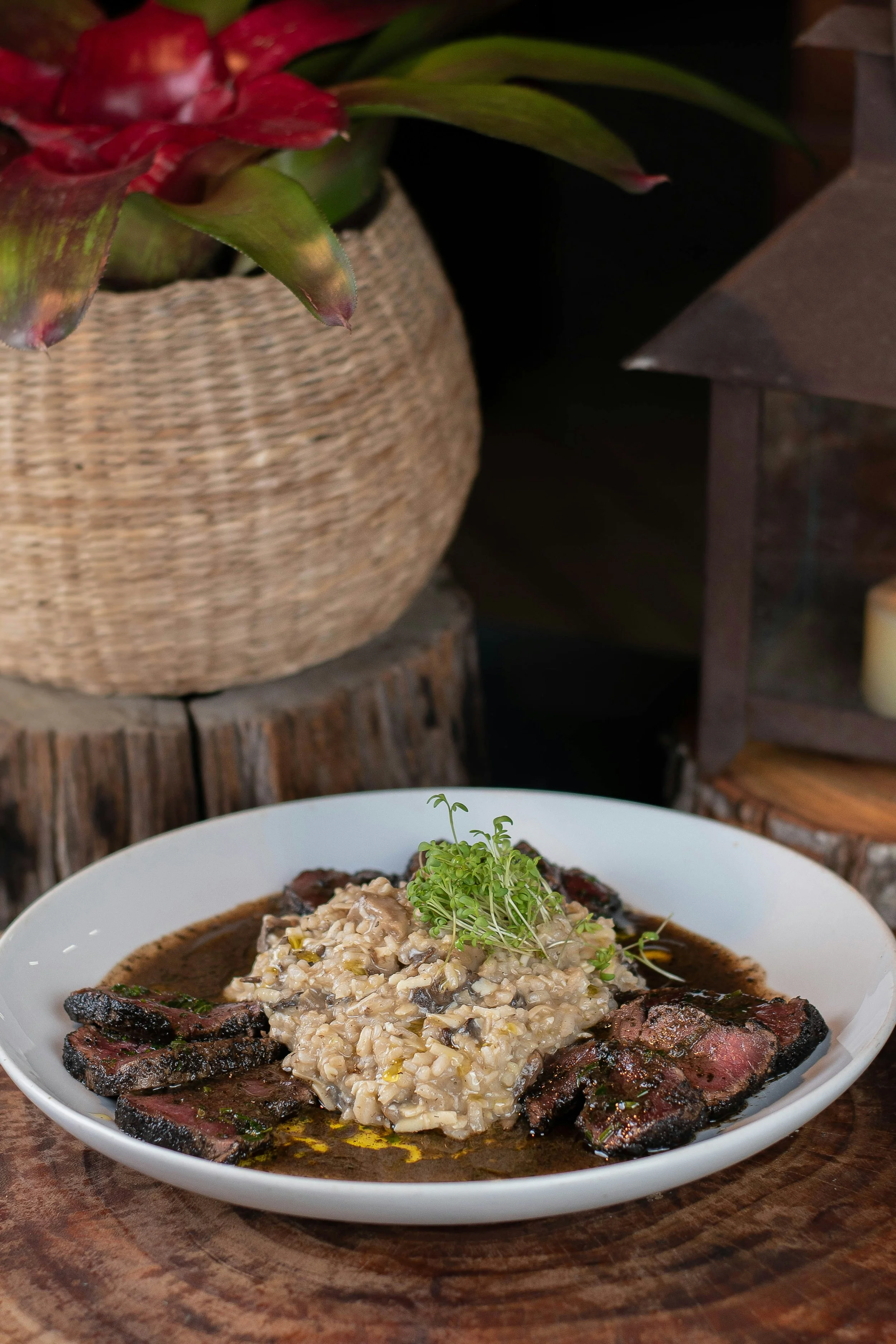 Pilzrisotto mit Rehfilet