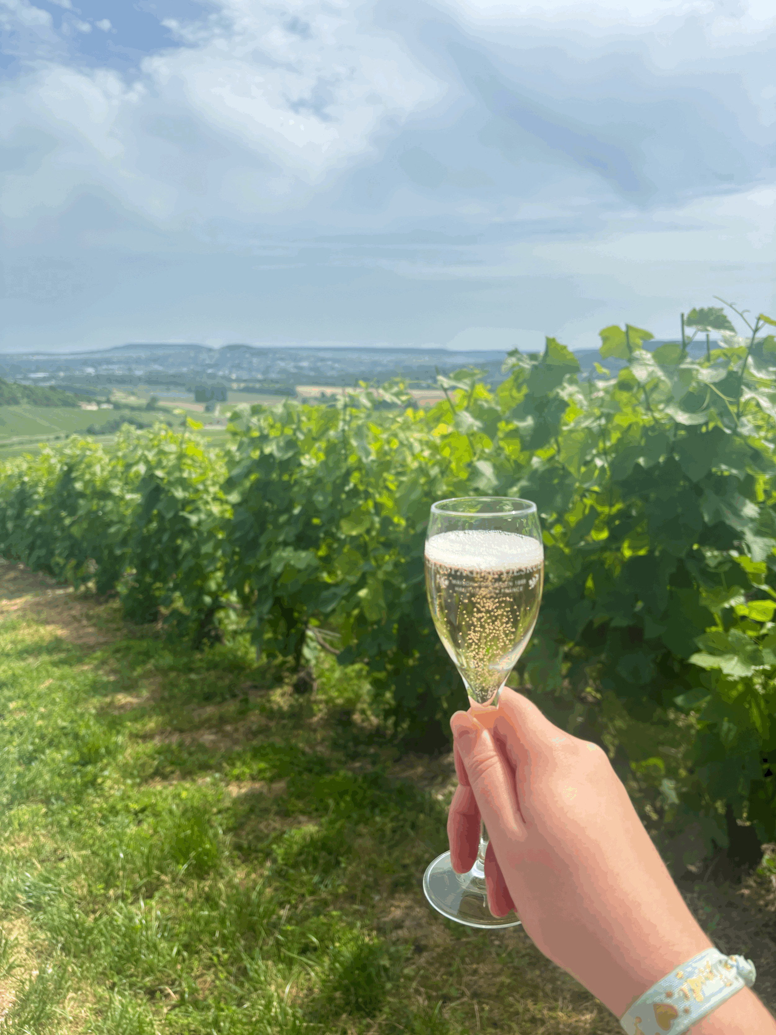 Champagner und Wild 