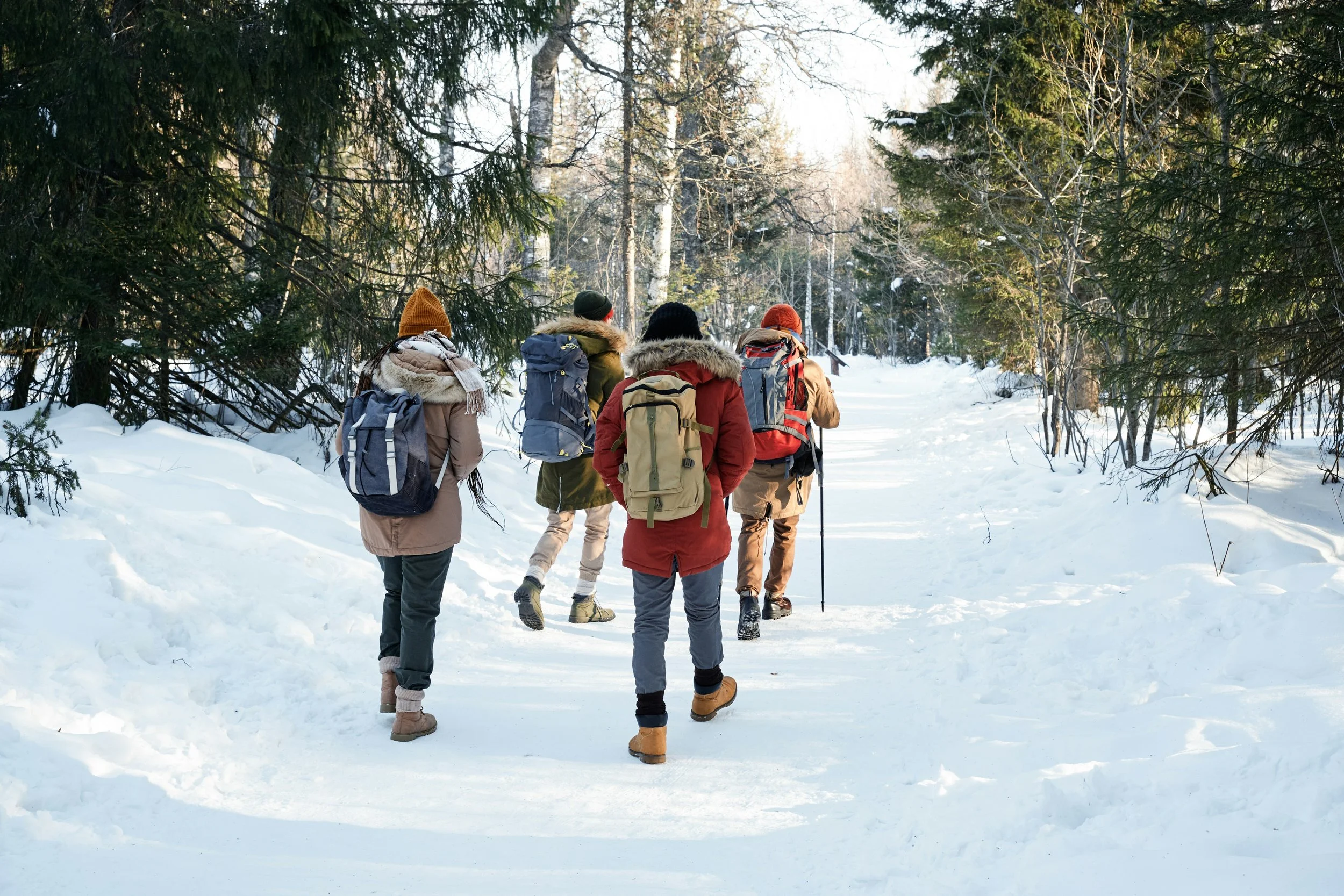 Schneewandern Kärnten.jpg