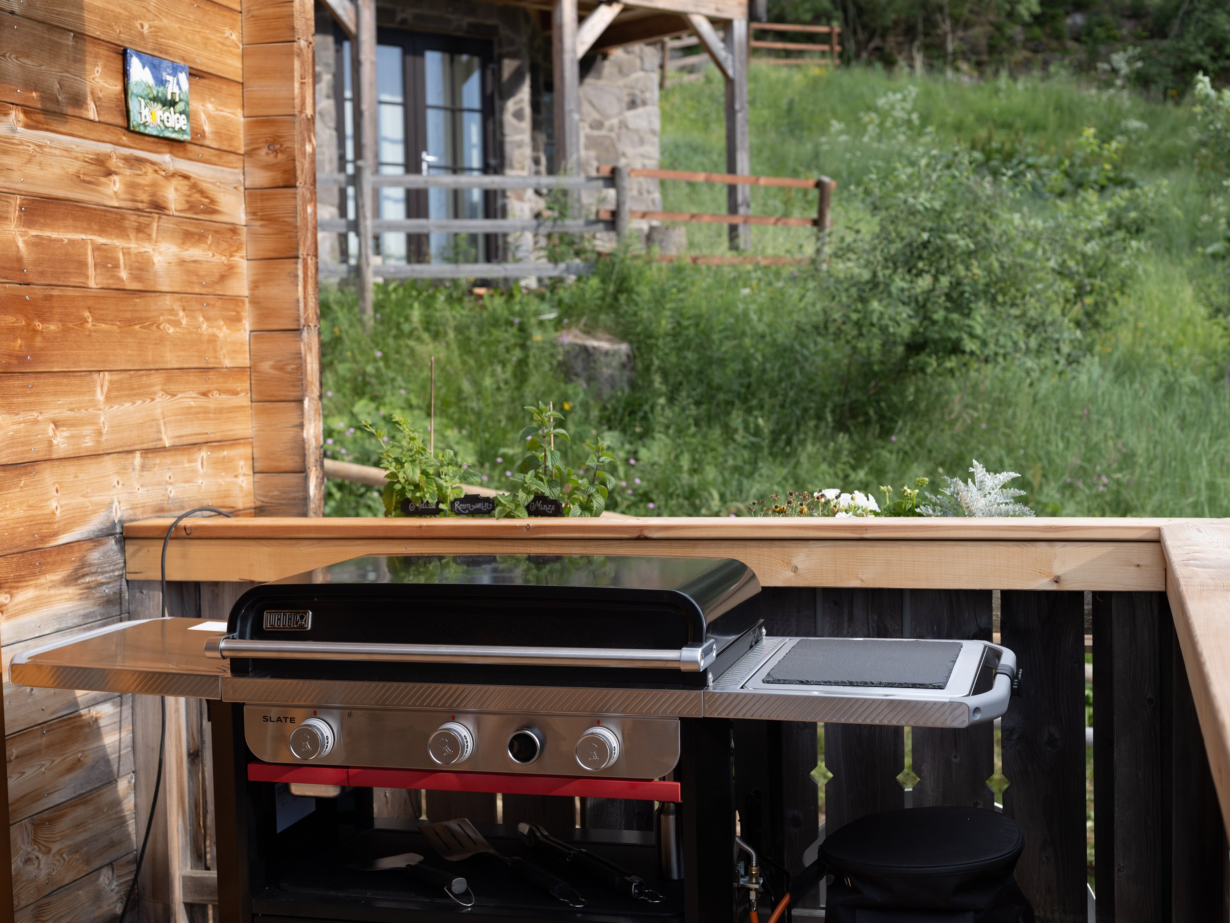 Grillen Kärnten Wildfleisch.jpg