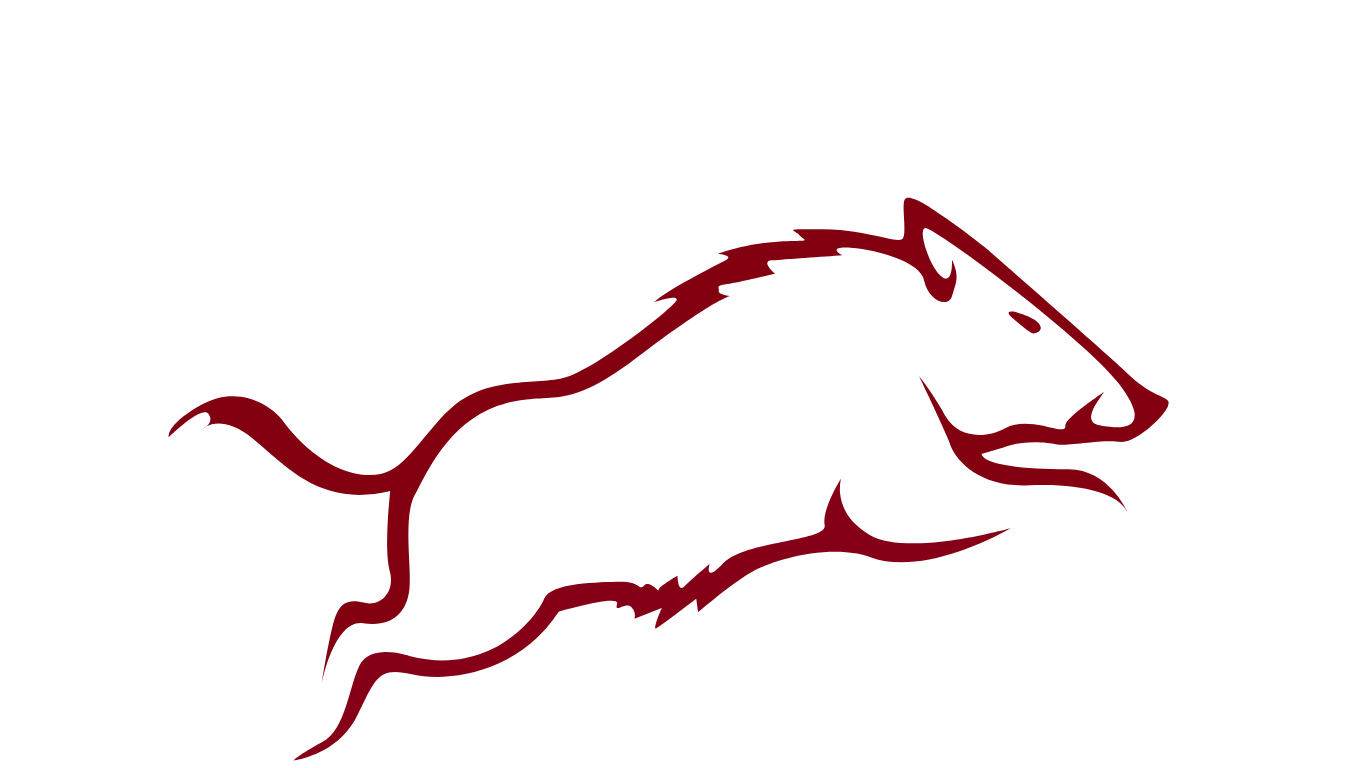 Wildschwein Icon | ur Wild.