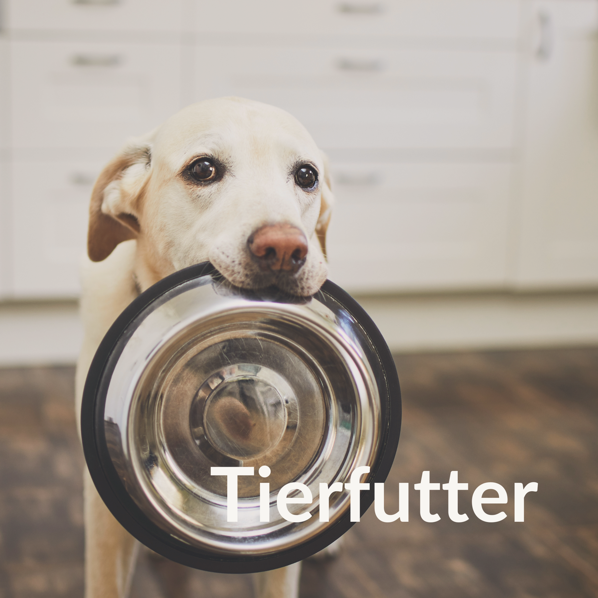 Tierfutter | ur Wild.