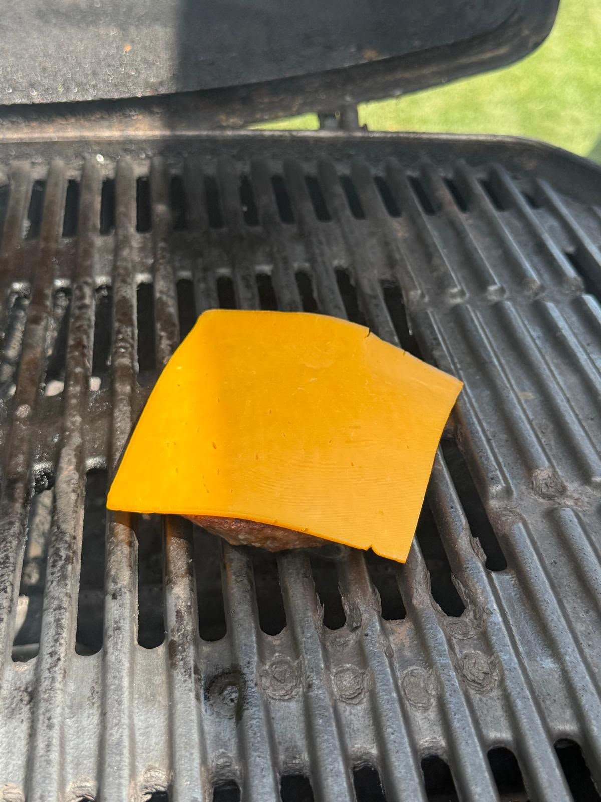 Burger_Patty_2.jpeg