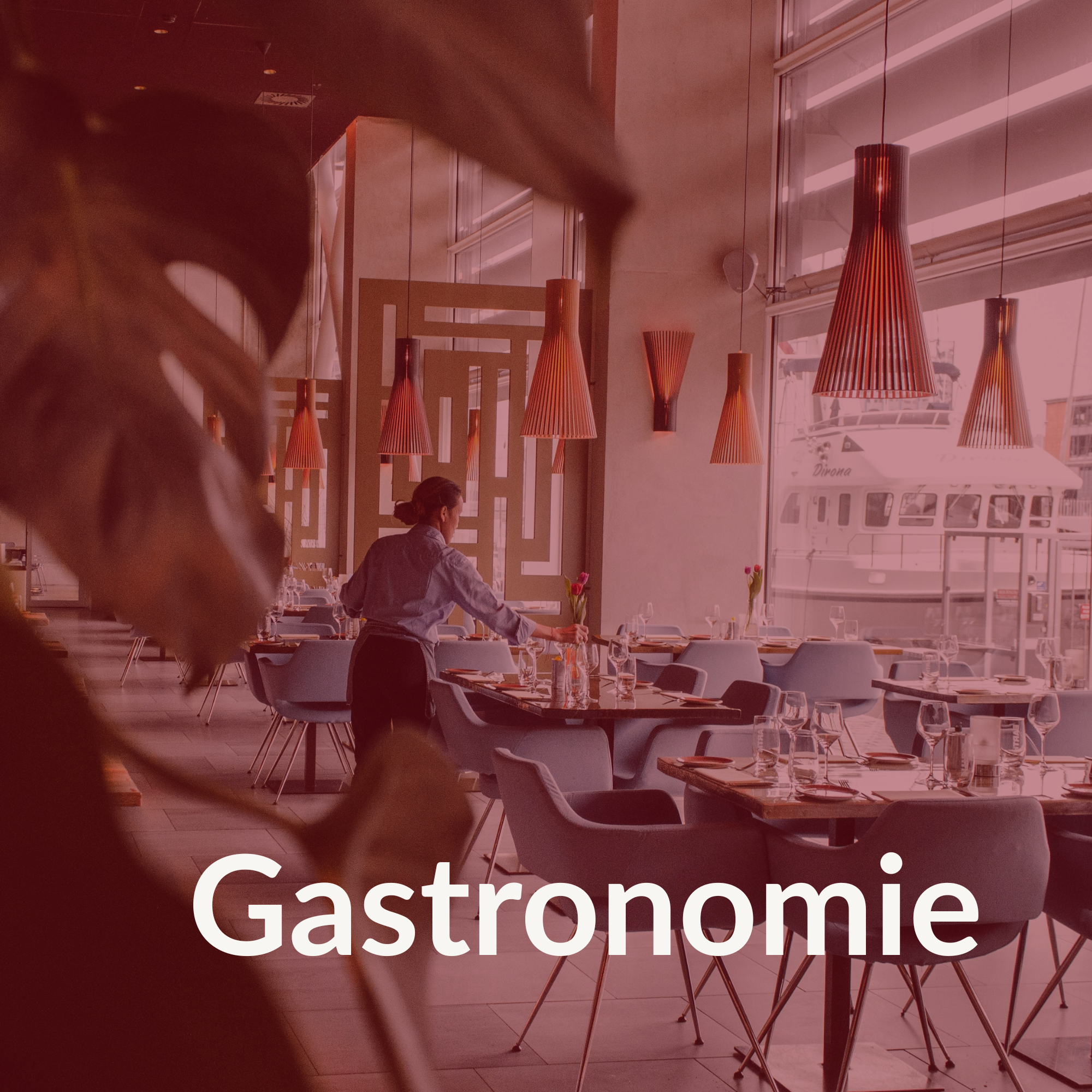 Gastronomie | ur Wild.