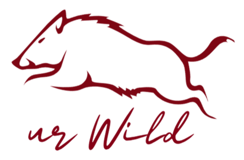 Paradesau | ur Wild.