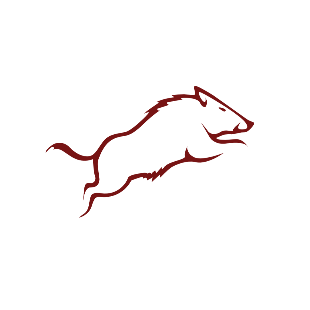 Wildschwein Icon | ur Wild.