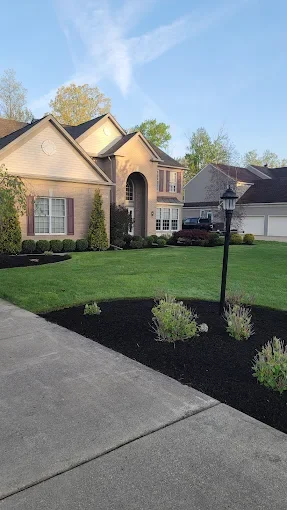 Front yard of a suburban house with a well-maintained lawn, landscaped garden beds with small bushes, and a street lamp, under a clear blue sky.