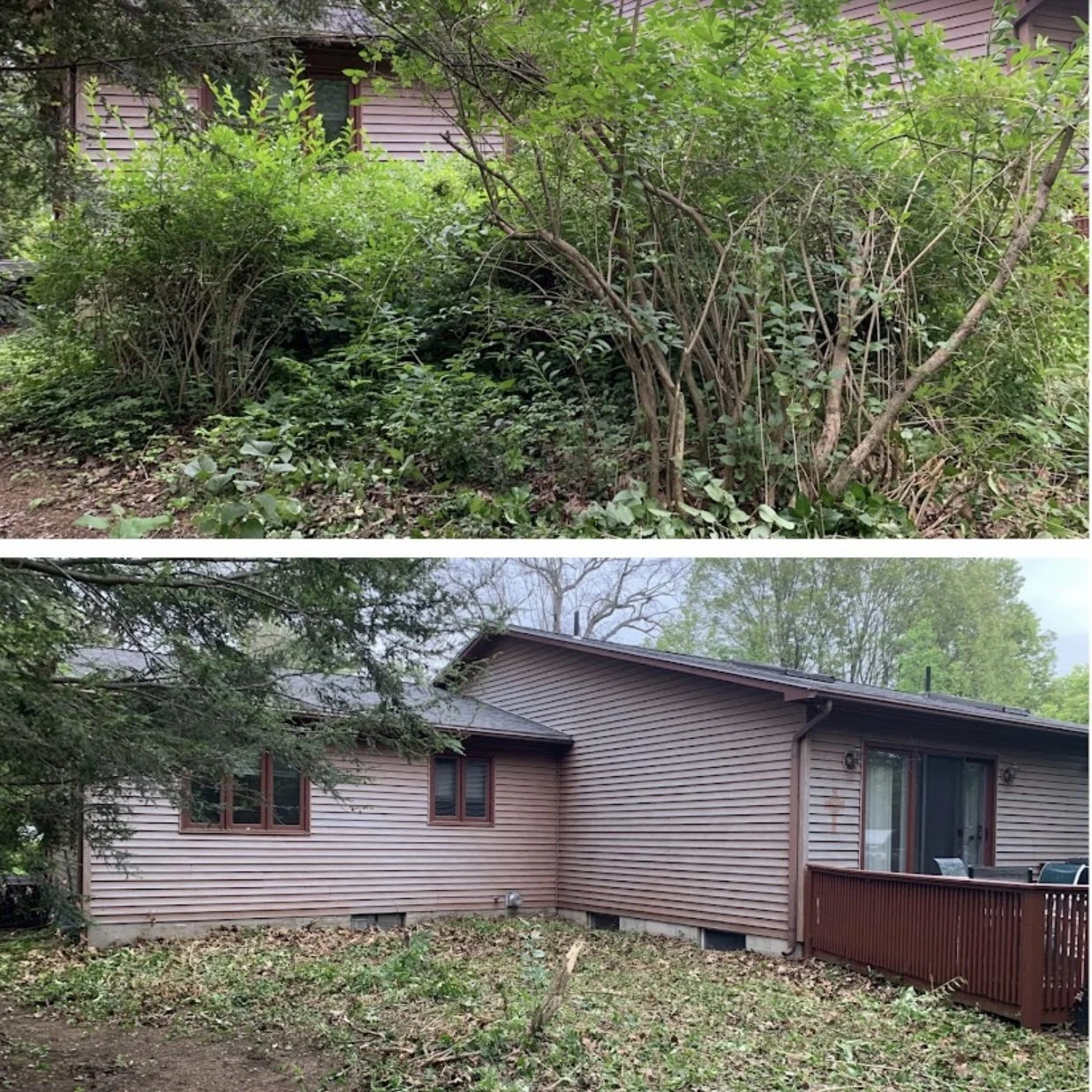 Side-by-side comparison of a backyard before and after cleanup: the top shows overgrown bushes and weeds, while the bottom shows a cleared yard with trimmed bushes and a clean lawn, attached to a beige house with a small deck.
