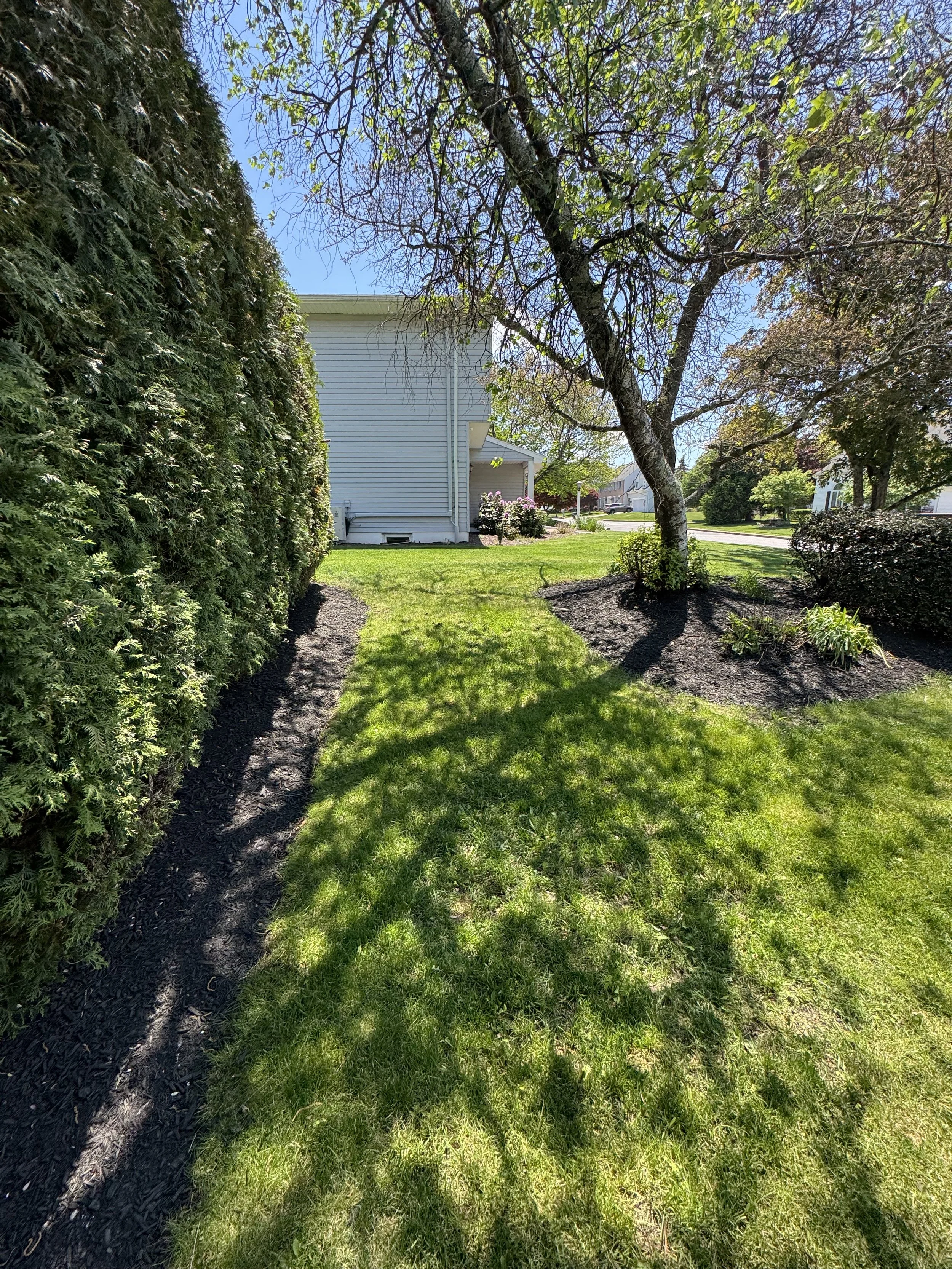 IMG_3874.jpeg