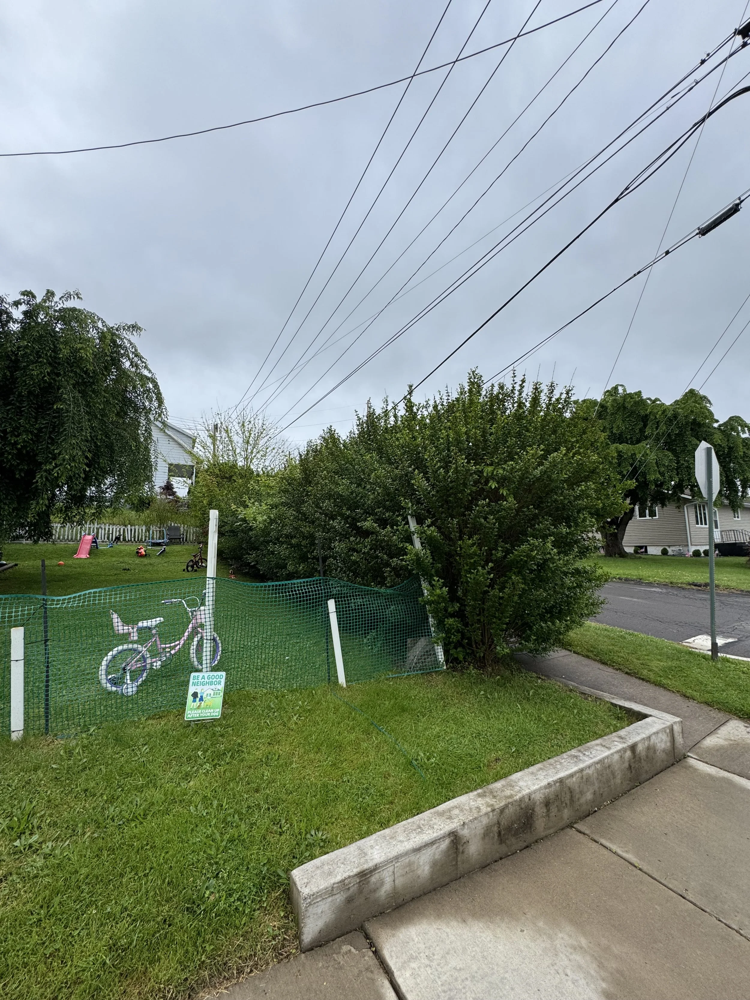 IMG_3927.jpeg