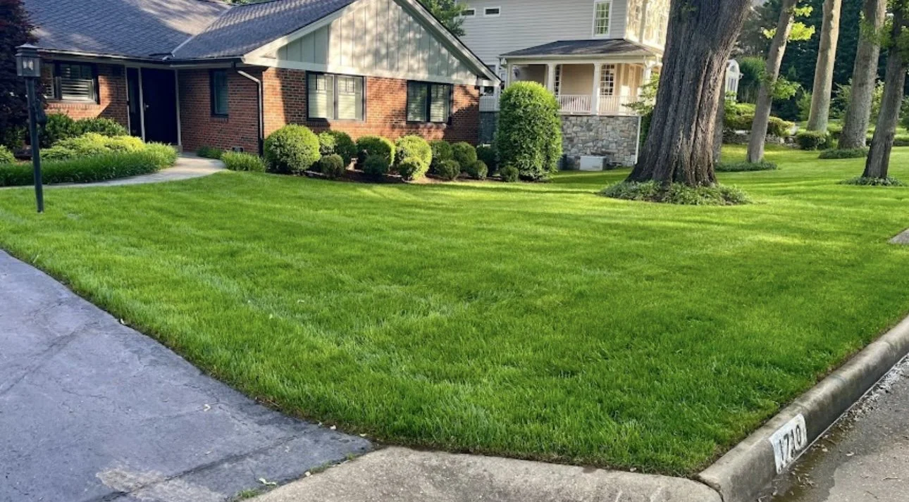 Well-maintained green lawn in front of suburban houses, with trees and neatly trimmed bushes.