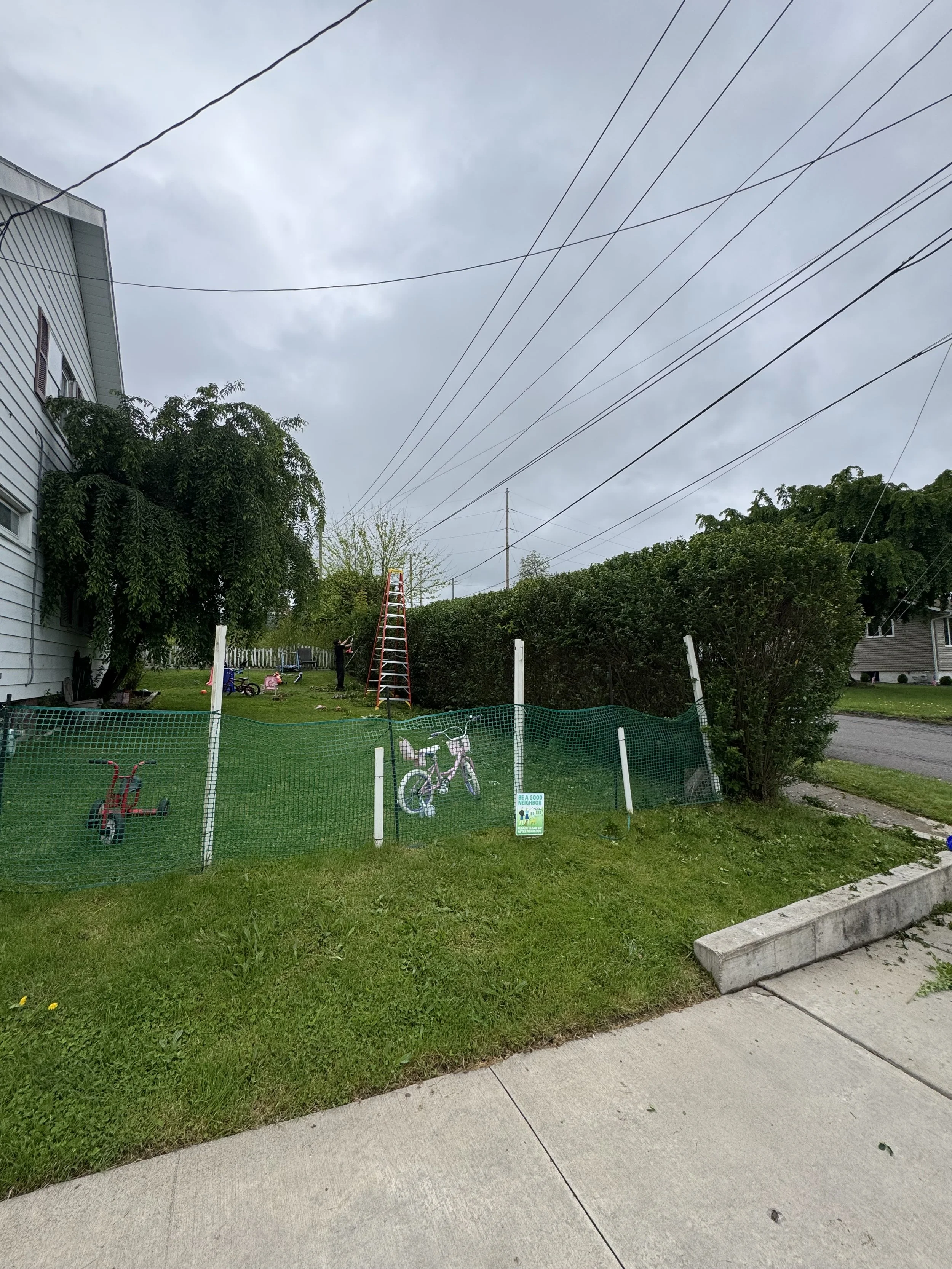 IMG_3929.jpeg