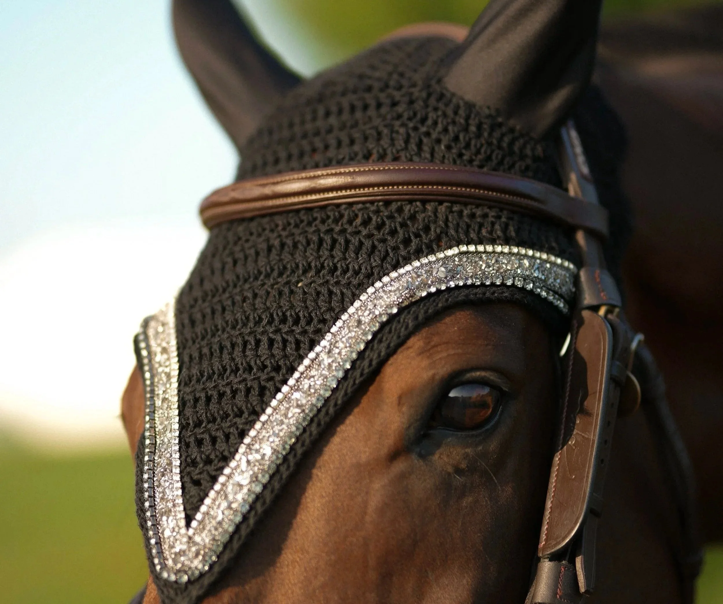 Close-up of a horse's face wearing a decorative black fly mask with rhinestone trim and a brown leather strap.