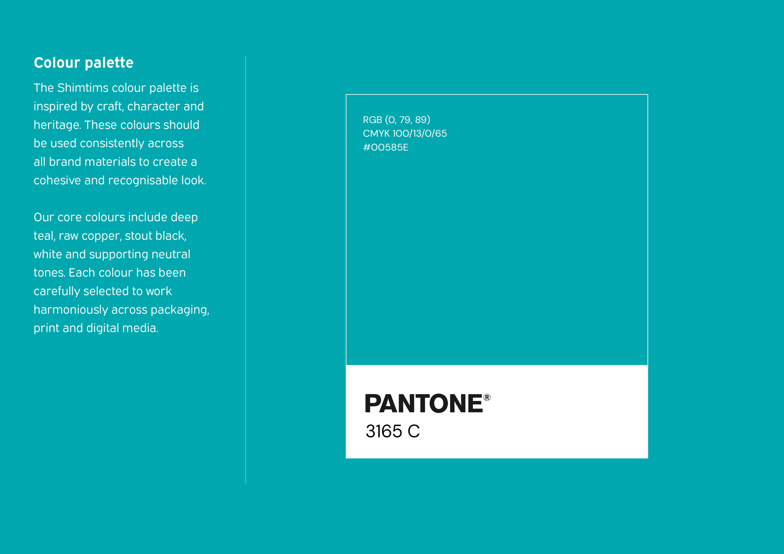 Shimtims Brand Guidlines copy8.png