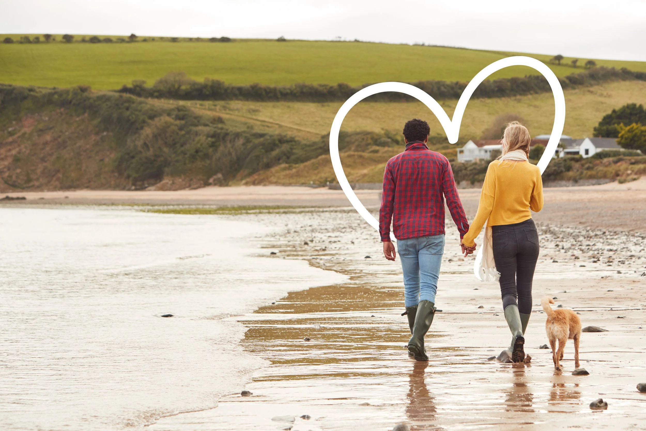 rear-view-of-loving-couple-with-pet-dog-holding-ha-2021-08-27-09-35-20-utc copy.jpg
