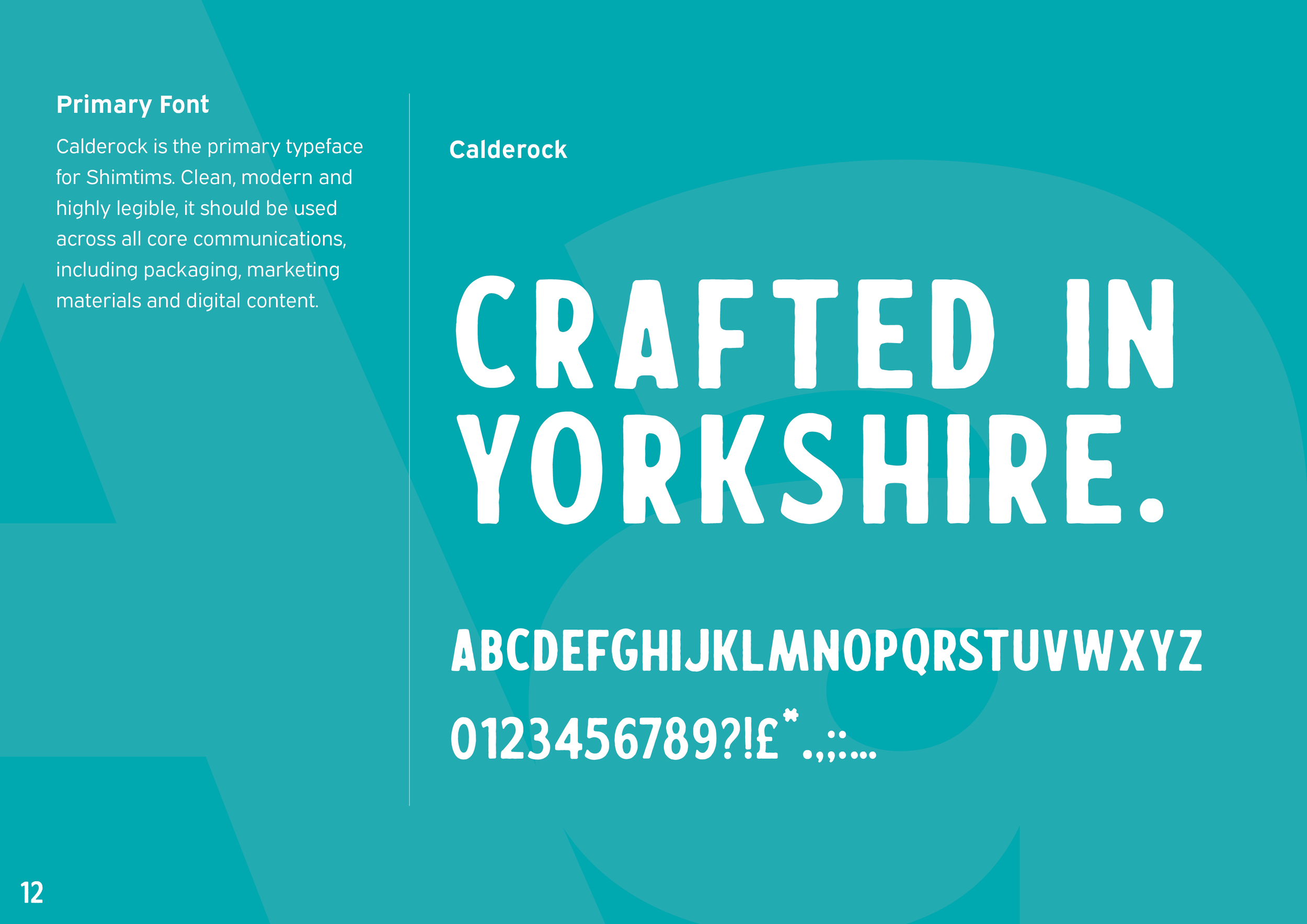 Shimtims Brand Guidlines copy12.png