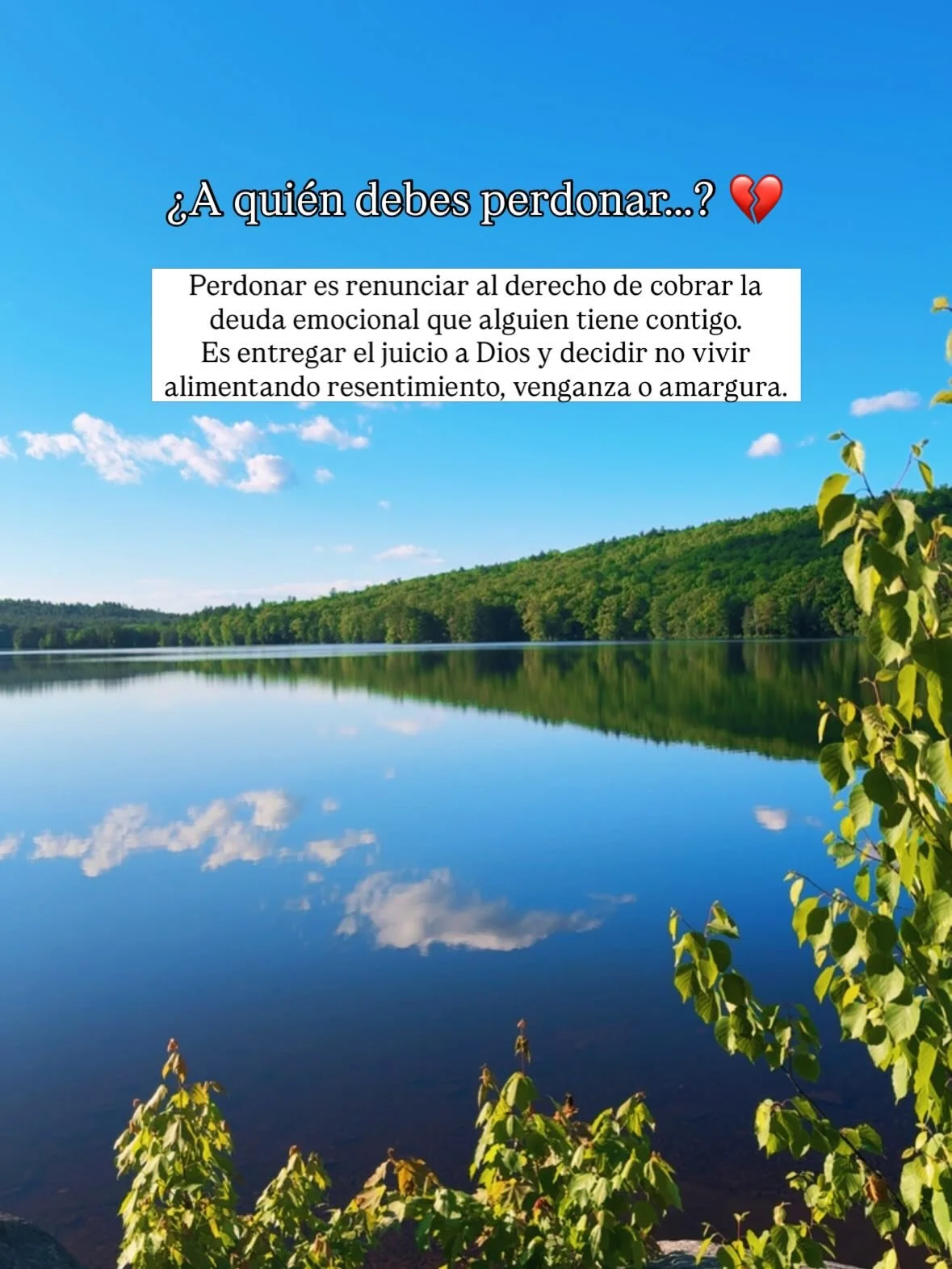 Tiempo de perdonar. Esto no significa que lo que hicieron estuvo bien. Tampoco significa olvidar lo sucedido. Es liberarte de una amargura que no te pertenece ❤️&zwj;🩹