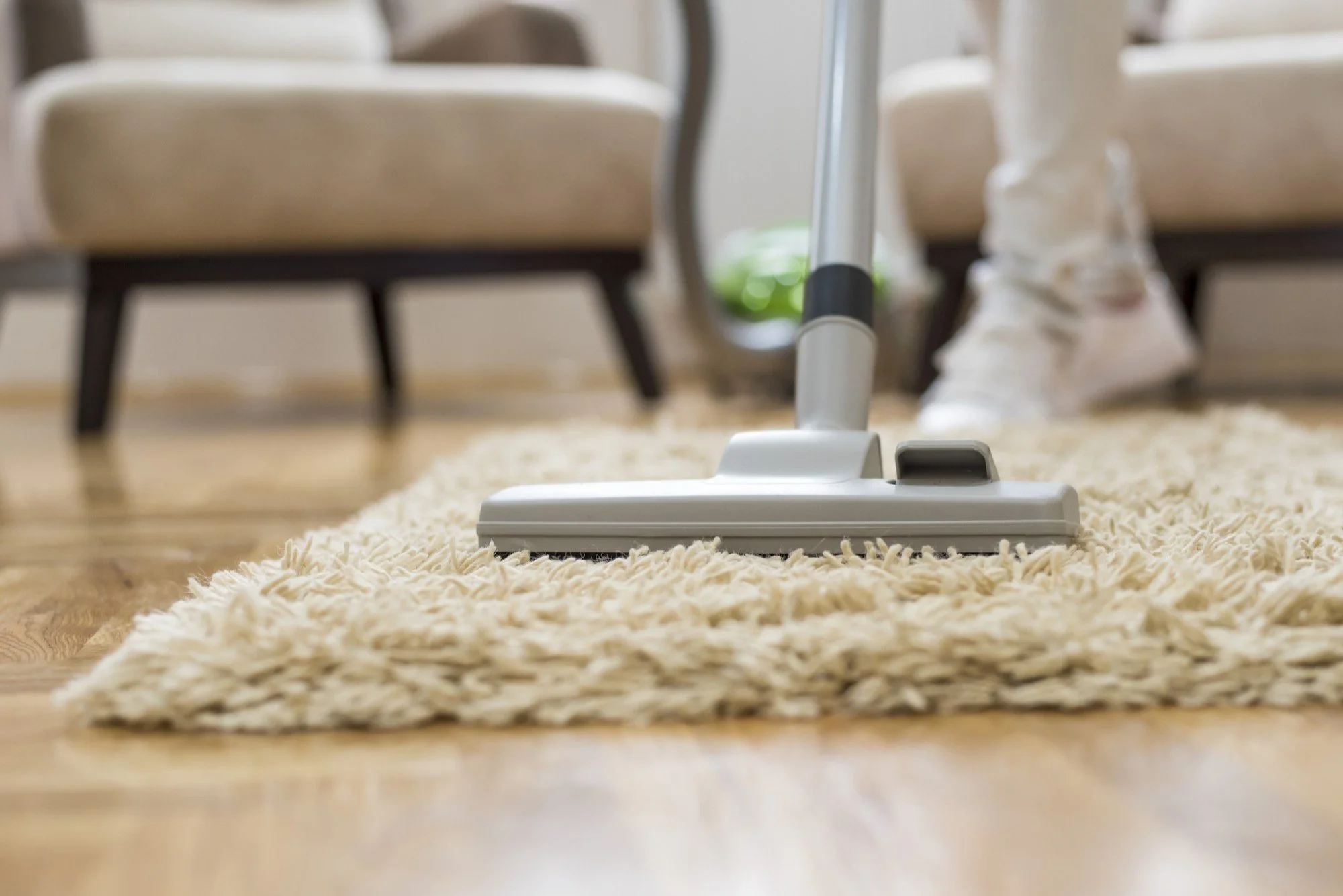 Why is FiberFolk Is Chicago’s Trusted Rug Cleaning Company?