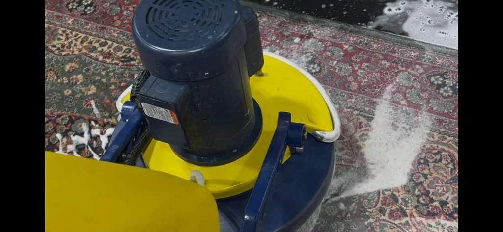 Professional Rug Cleaning in Arlington Heights, IL: Why It Matters?