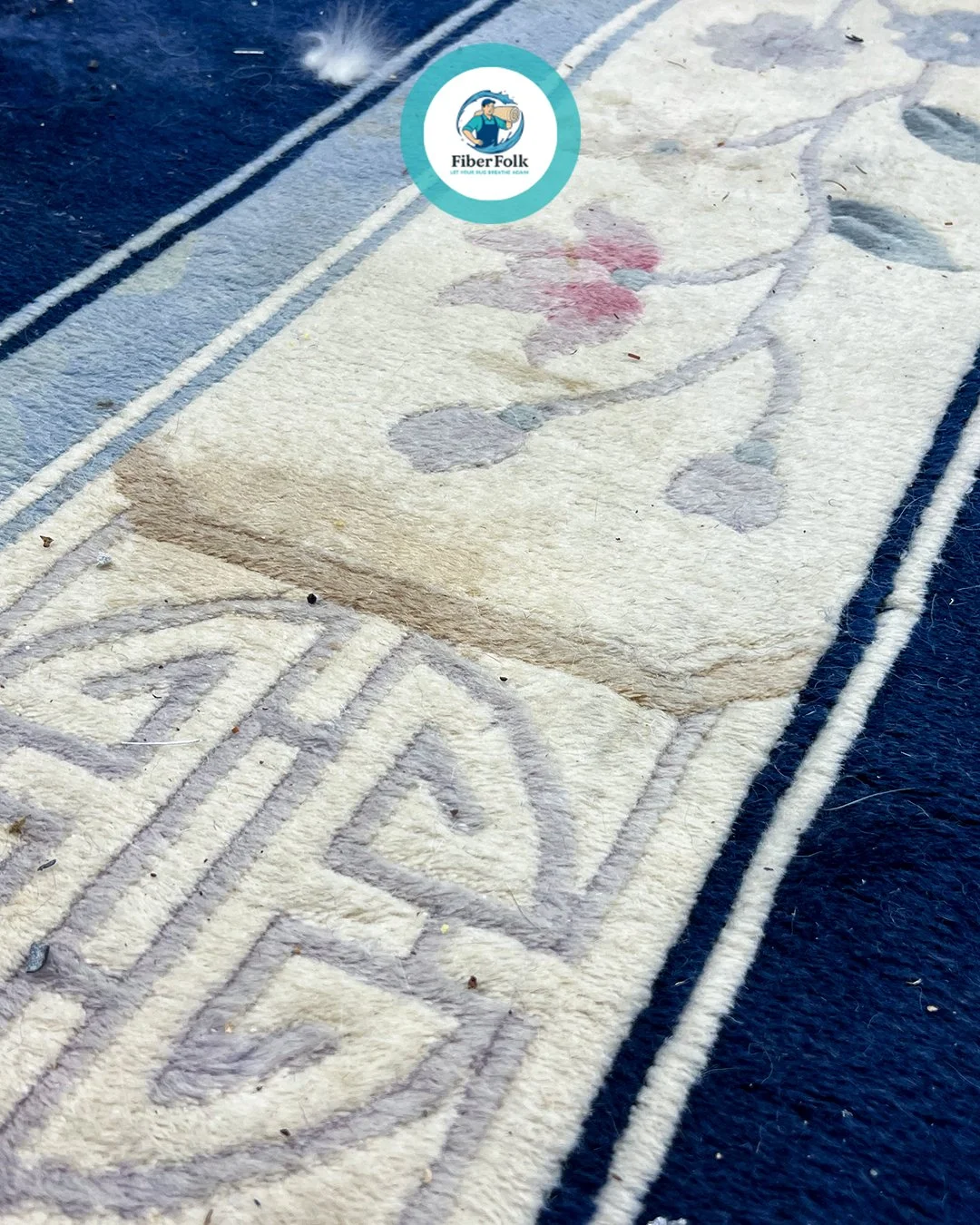 professional rug cleaning plant in Addison, IL