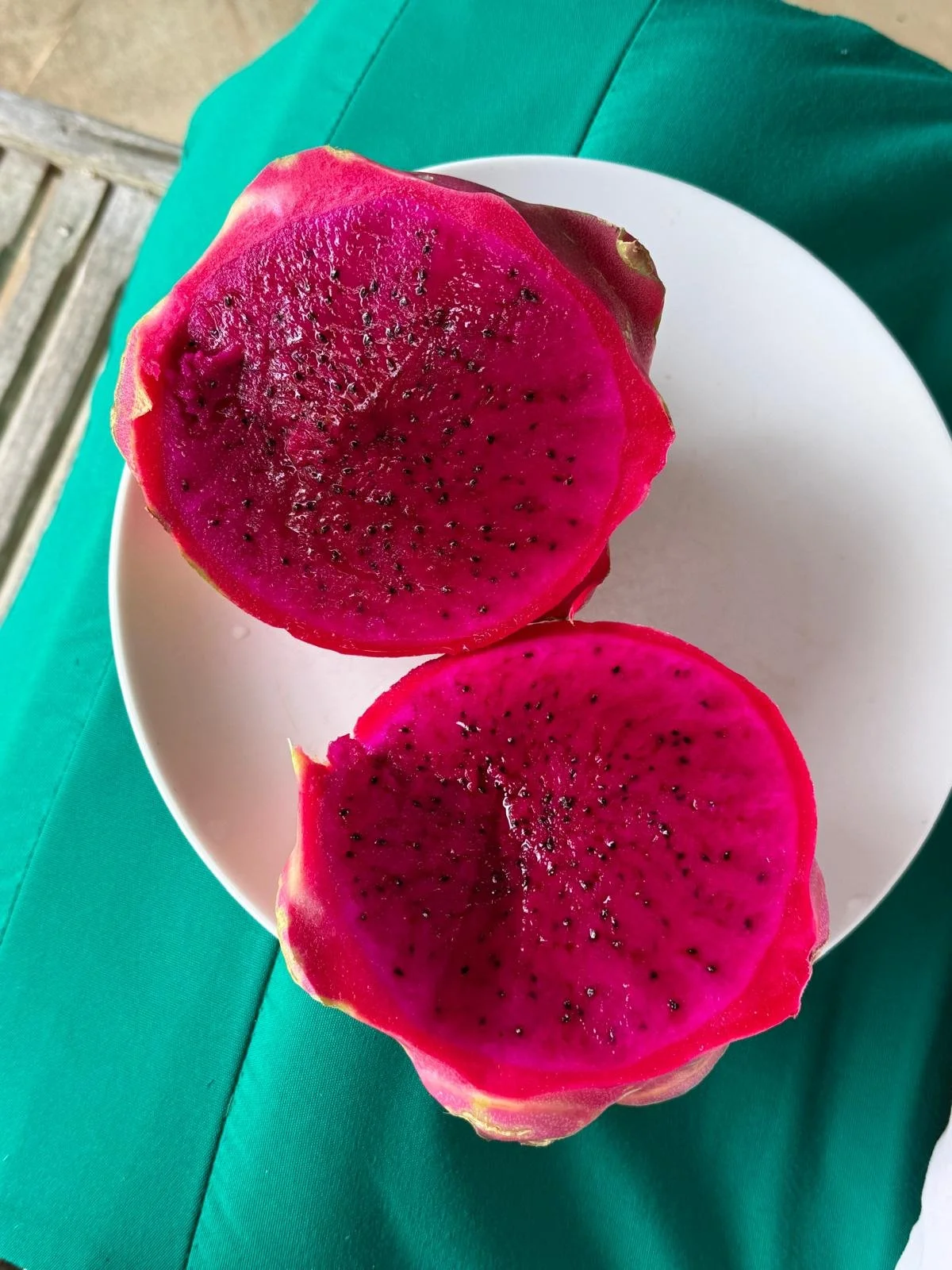 WhatsApp Image 2026-02-15 at 14.09.47.jpeg