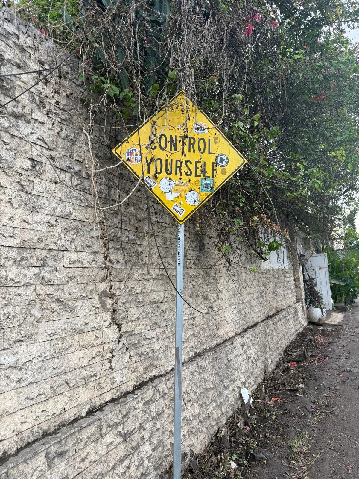 WhatsApp Image 2026-02-15 at 13.55.45 (1).jpeg