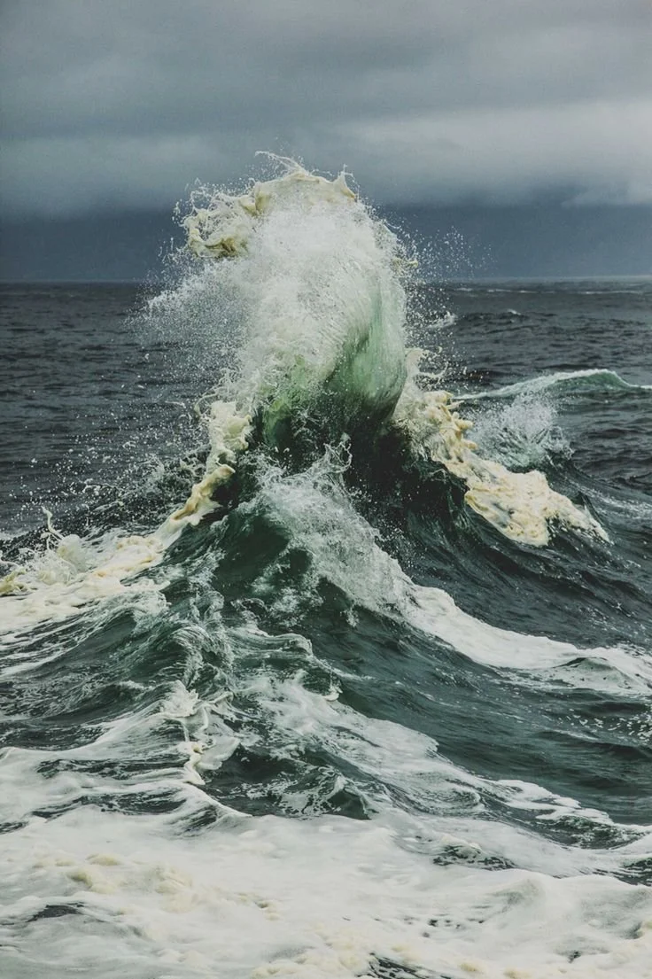 A large whale breaches the ocean surface, creating a splash and waves against a cloudy sky.