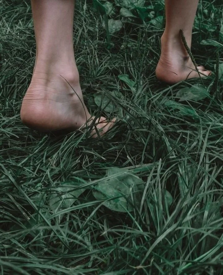 Close-up of a person's bare feet standing on grass with tall green blades.