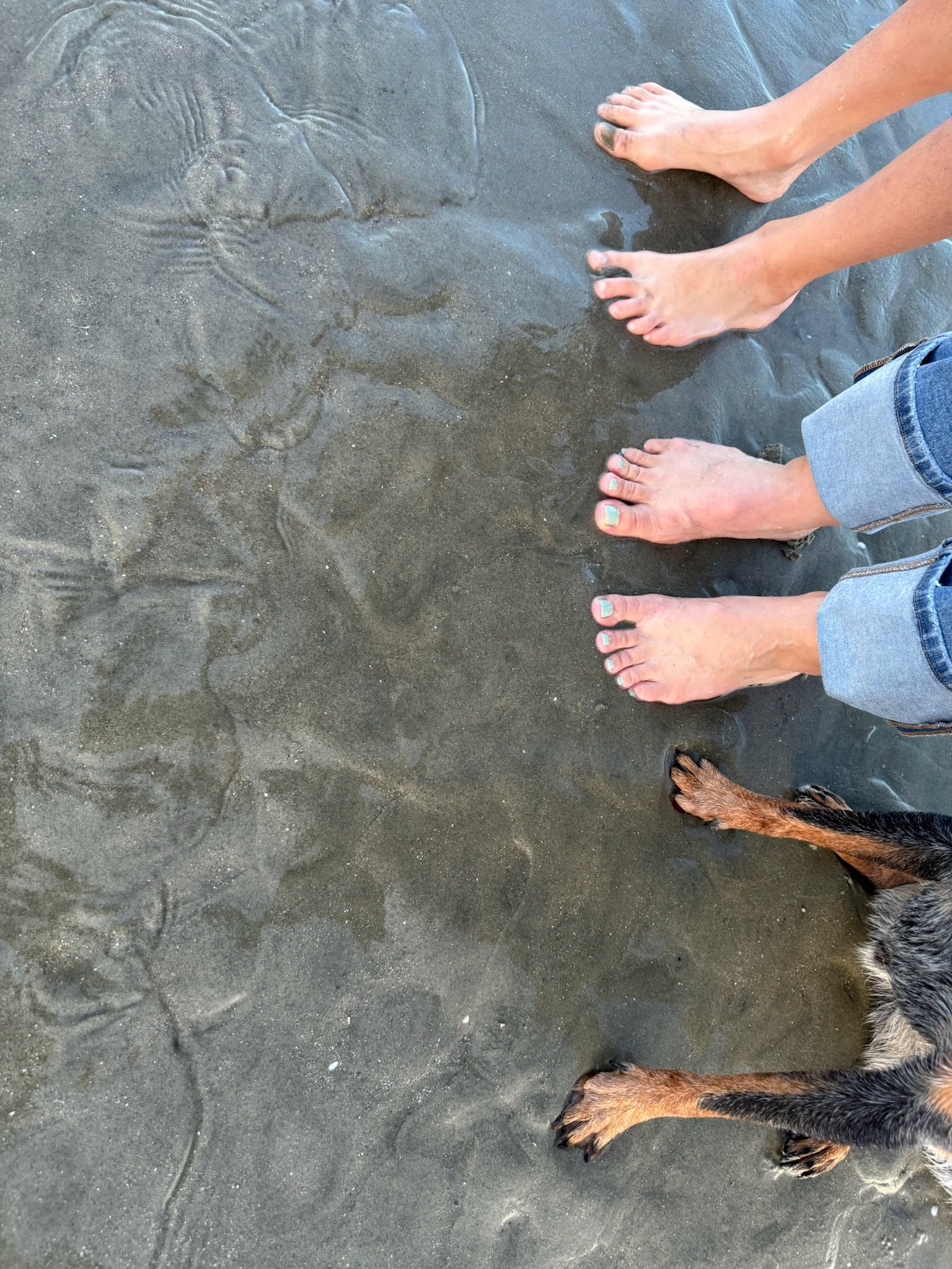 View of three bare feet on wet sand at the beach, with faintly visible crab tracks and a dog paw in the bottom right corner.
