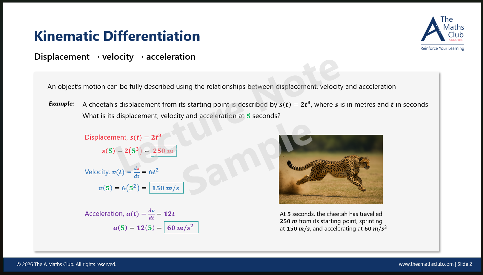 Educational slide about kinematic differentiation with an example of a cheetah's motion, including calculations of displacement, velocity, and acceleration, along with a photo of a cheetah running.