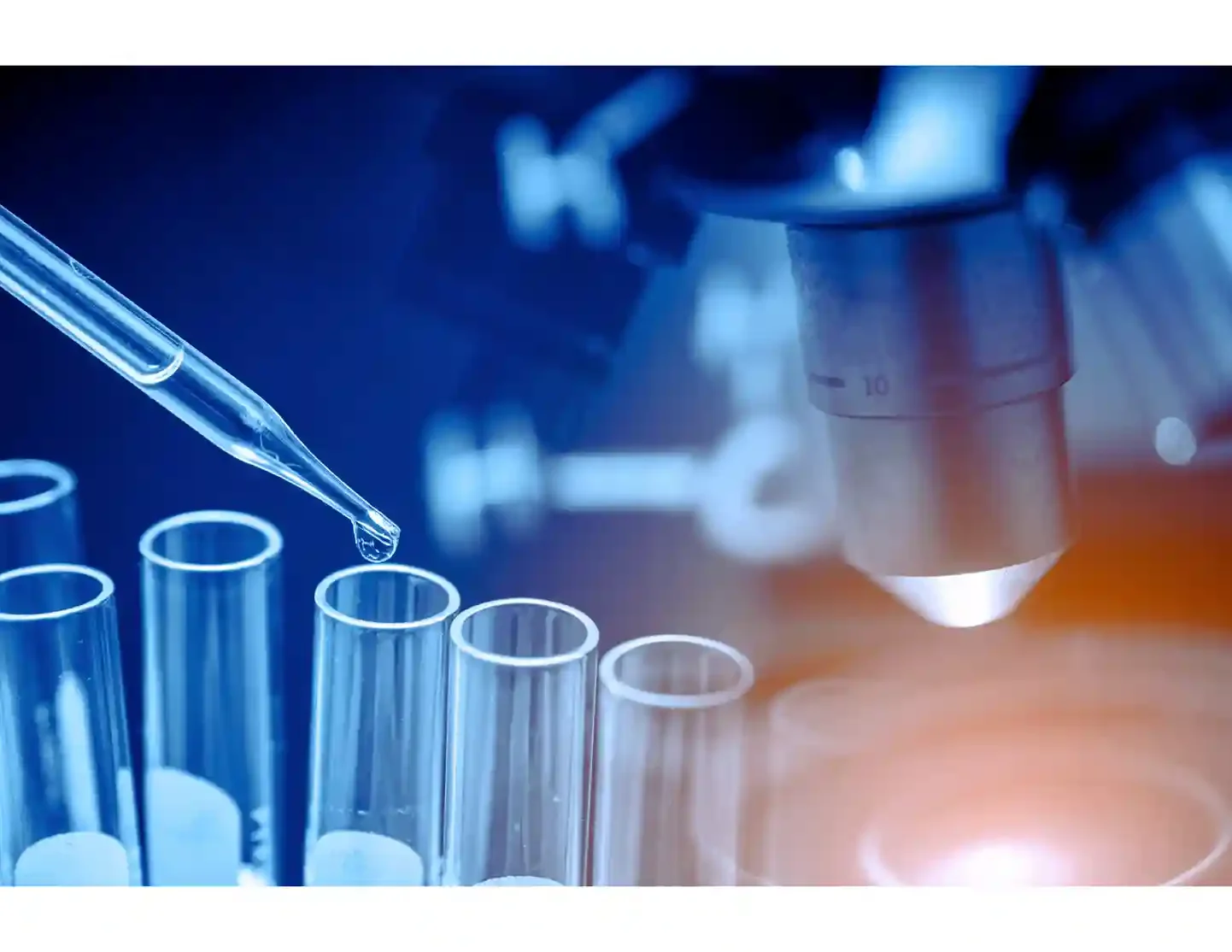 Primary & Preventive Care