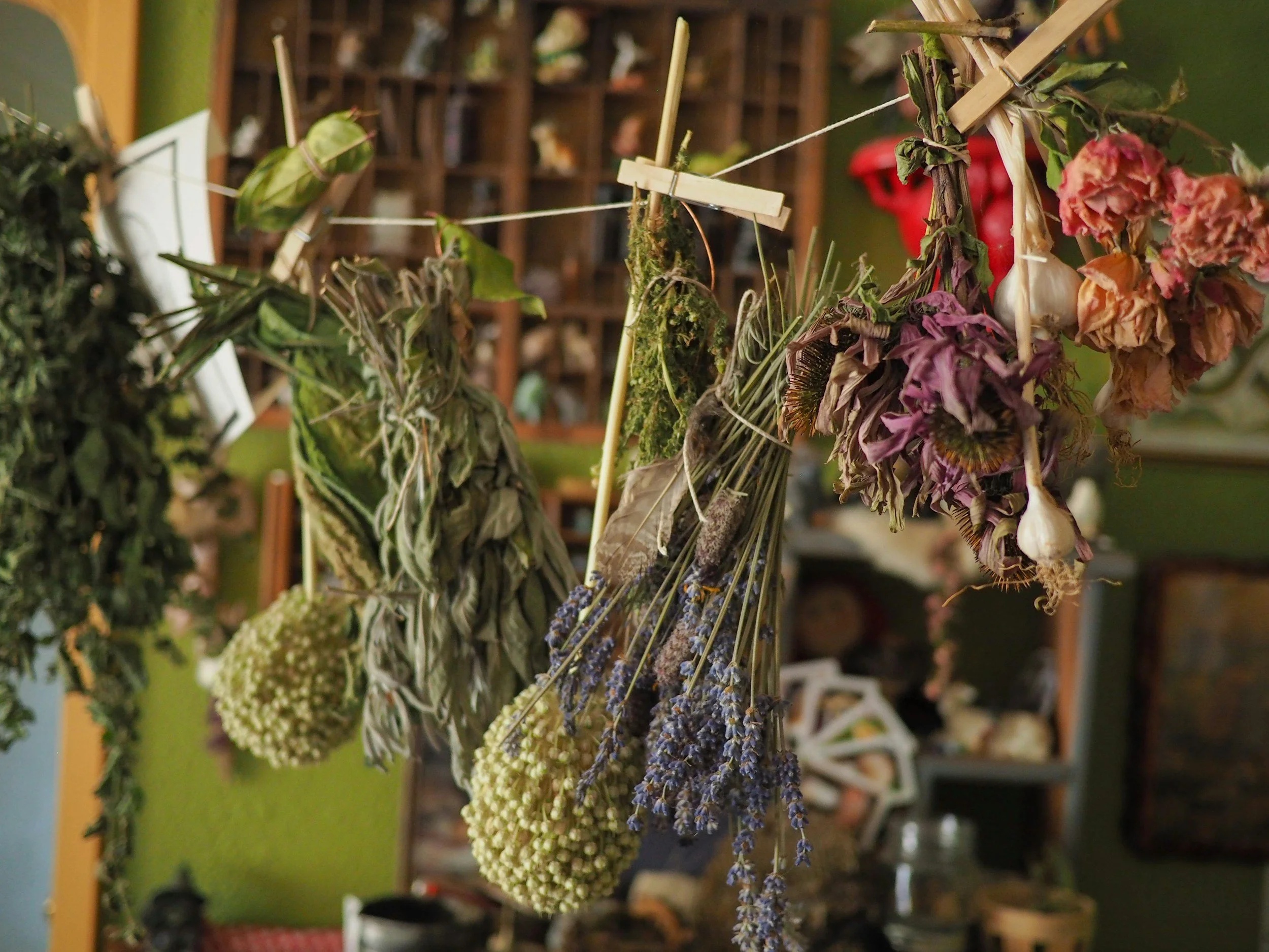 Hanging bundles of dried flowers and herbs tied with string and clothespins, including lavender, roses, and other botanicals, in an indoor setting.
