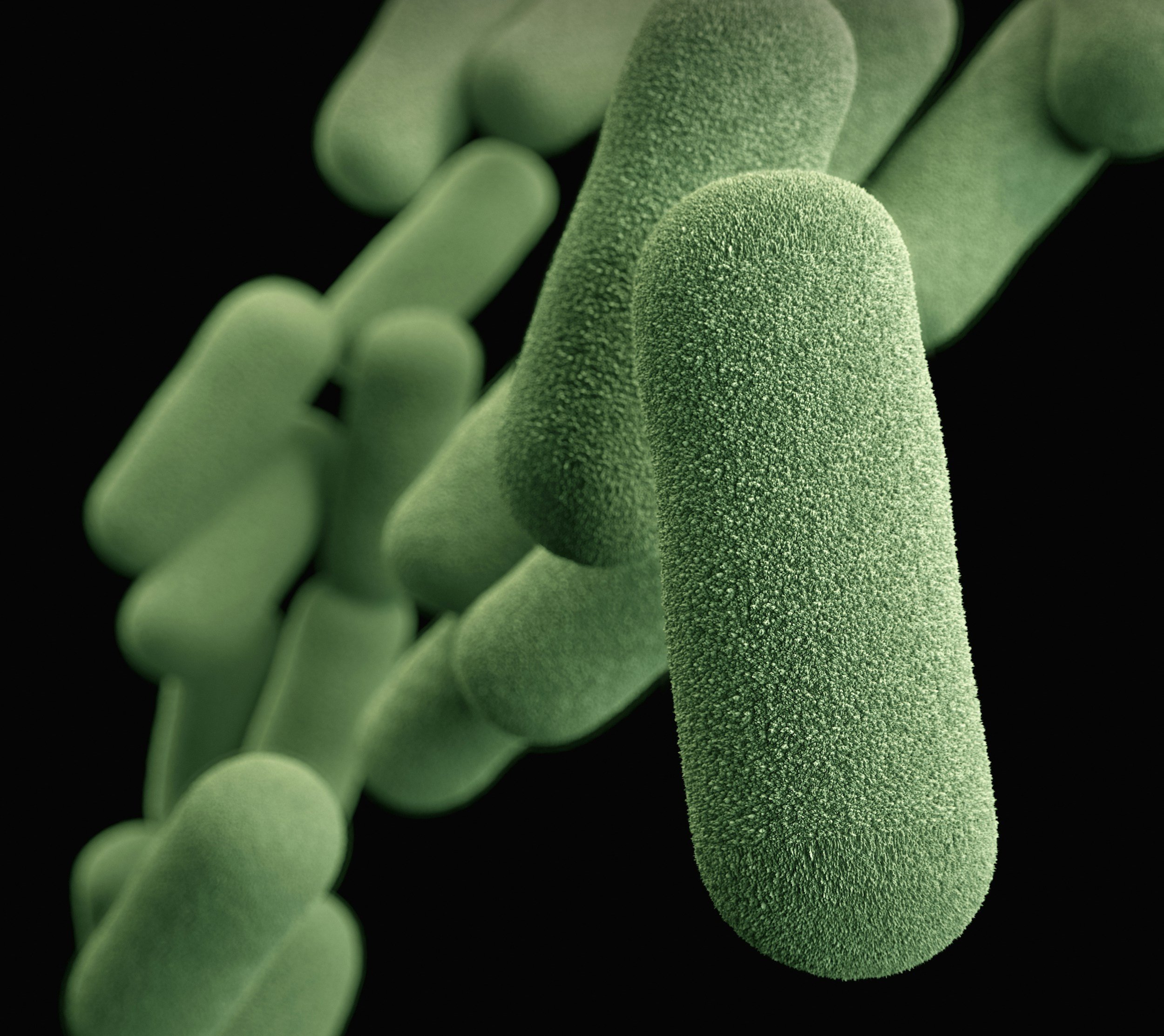 What Antibiotics Actually Do, and Do Not Do, for a Tooth Infection