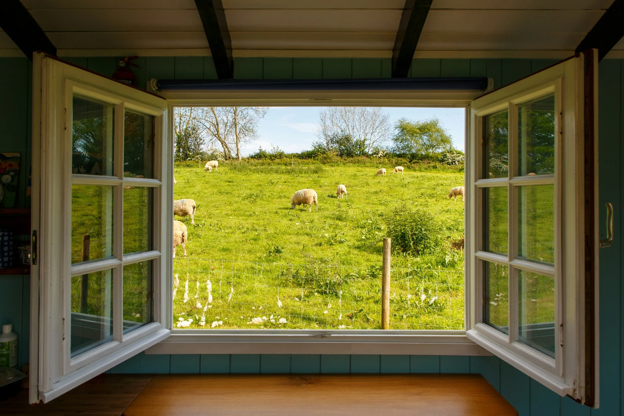 An open window with grazing herbivores animals