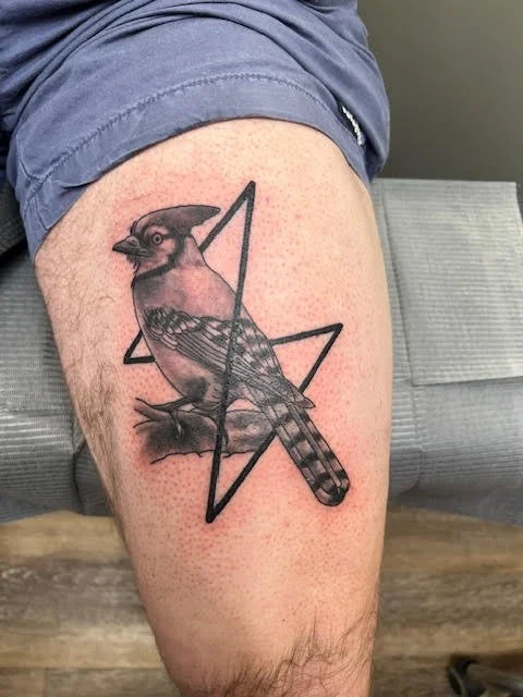 This tattoo features a detailed blue jay perched against a geometric star outline. The realistic feather work paired with modern line design creates a unique blend of nature and geometry.