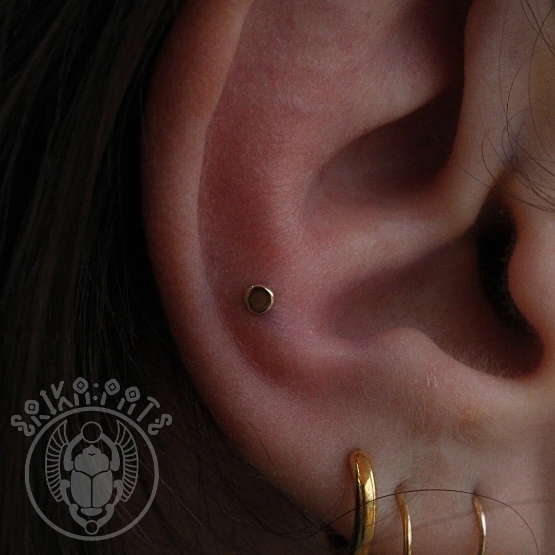 Close-up of a person's ear with a small gold hoop earring in the lower part of the earlobe and a black circular stud in the upper part of the ear. Dark hair partially covers the ear.