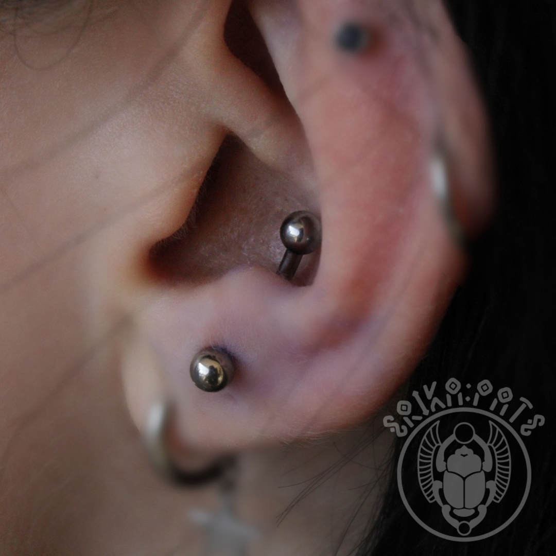 Close-up of a person's ear with multiple piercings, including a curved barbell in the upper cartilage and small studs in the lobe.