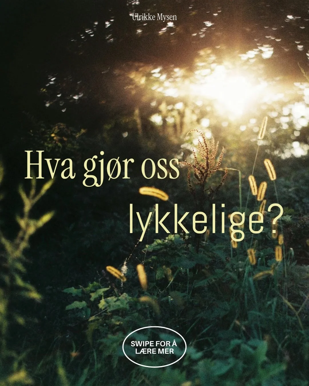Ble inspirert etter &aring; ha lyttet til en samtale mellom lykkeforsker Laurie Santos og Sam Harris om hva forskningen faktisk sier gj&oslash;r oss lykkelige.

Igjen og igjen viser forskningen det samme:
Lykke handler mindre om &aring; optimalisere 