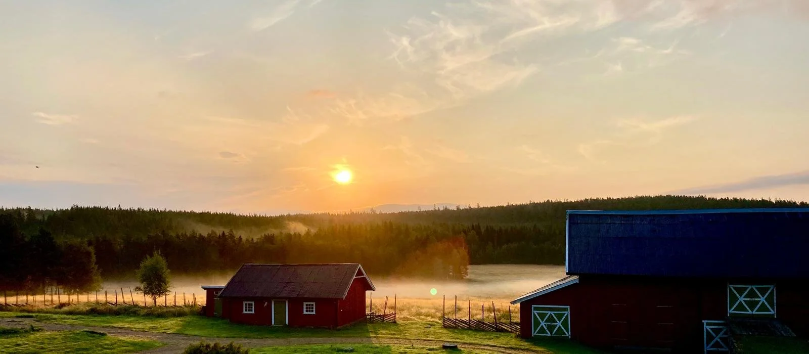 Kopi av bf967071-0768-4fb4-8839-8bd3c10d946a.jpg