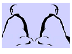 Zazen and Practice Reflections