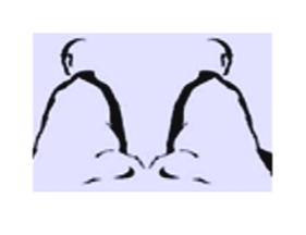 Zazen and Practice Reflections