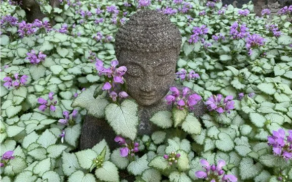 Zazenkai All-Day Sit (in-person, Newton, MA)