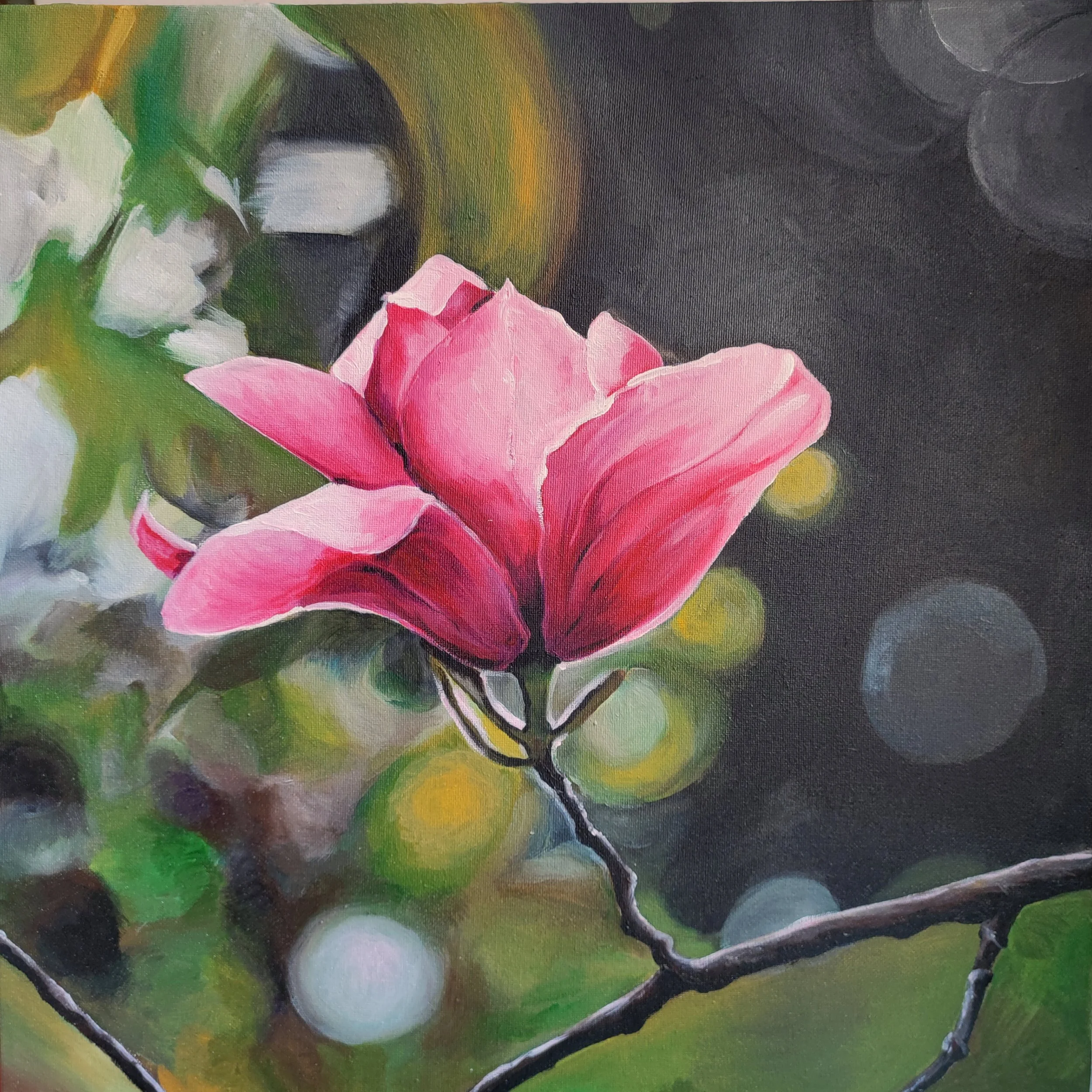 Un fiore rosa su uno sfondo sfumato con luci soffuse e luci sfocate