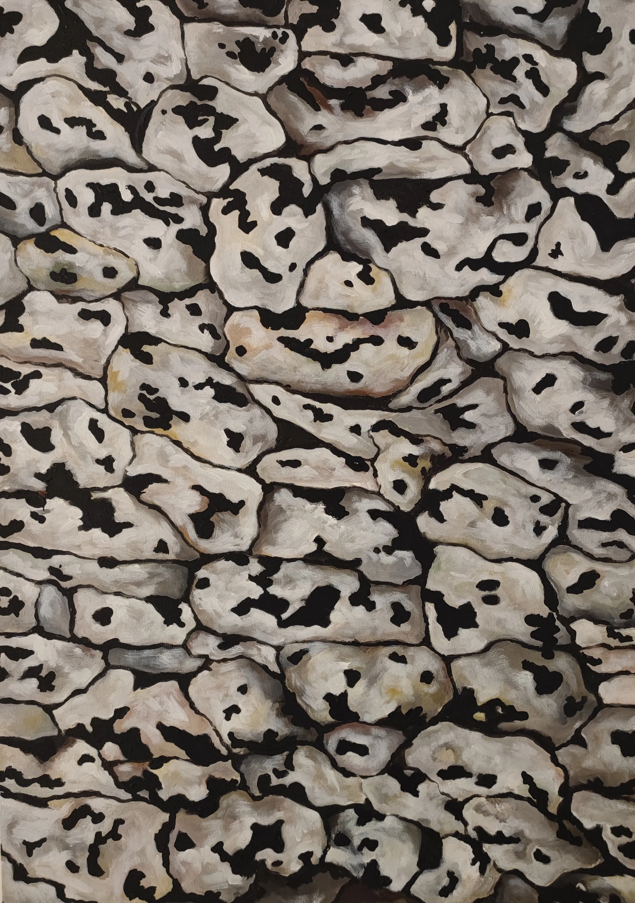 Ce ne sont pas des lichens