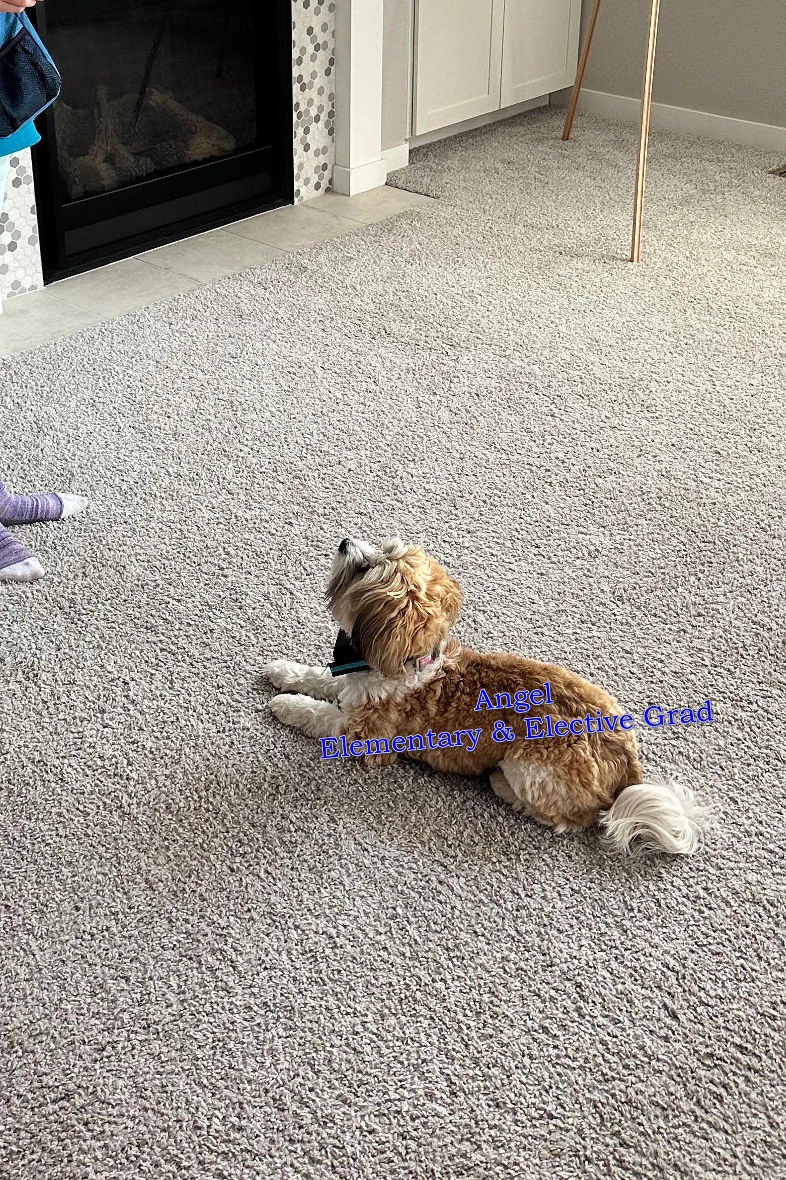 angel elem and elect.jpg