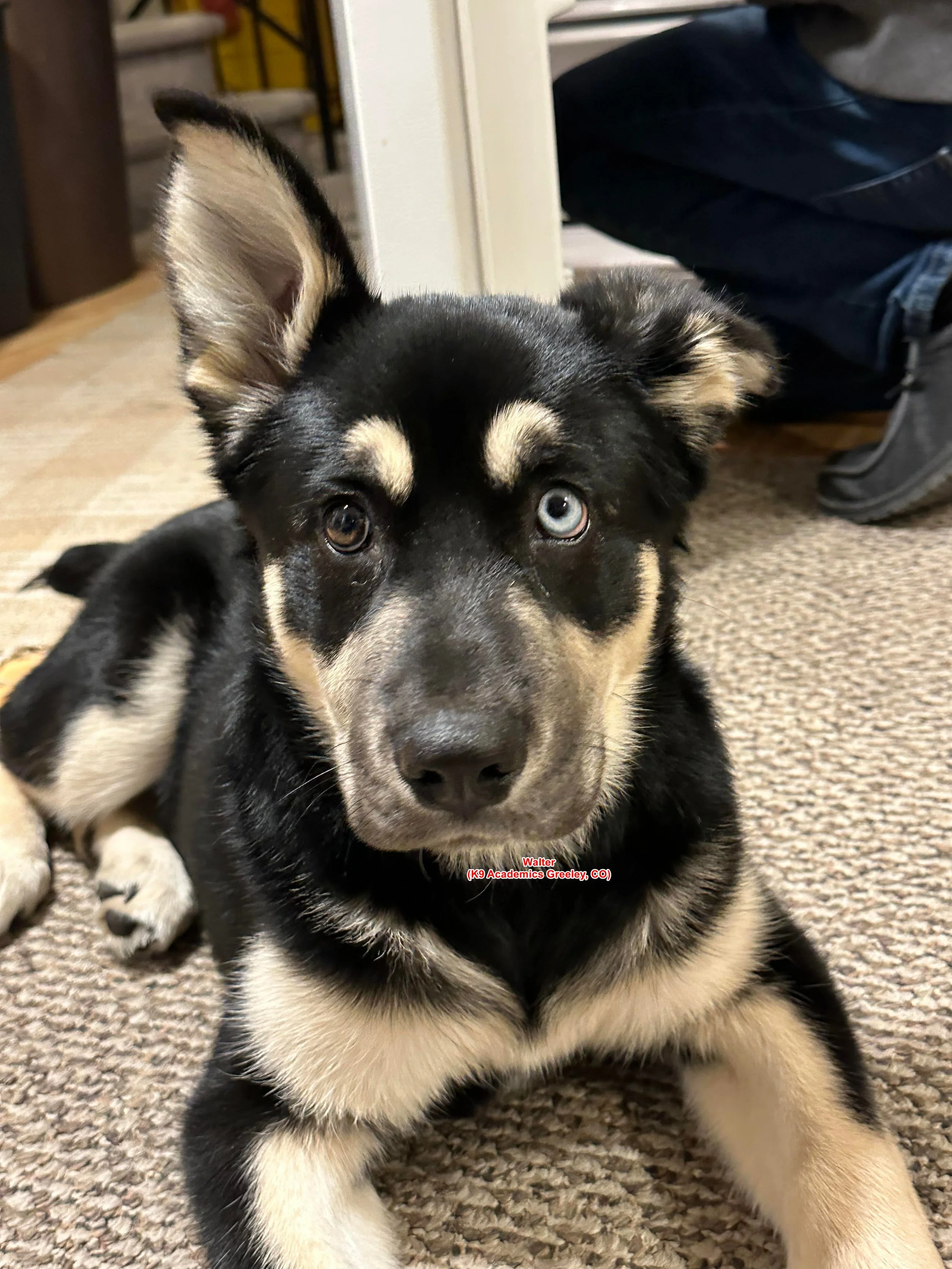 Walter, started training at the Elementary level and also took on learning paddle boarding.